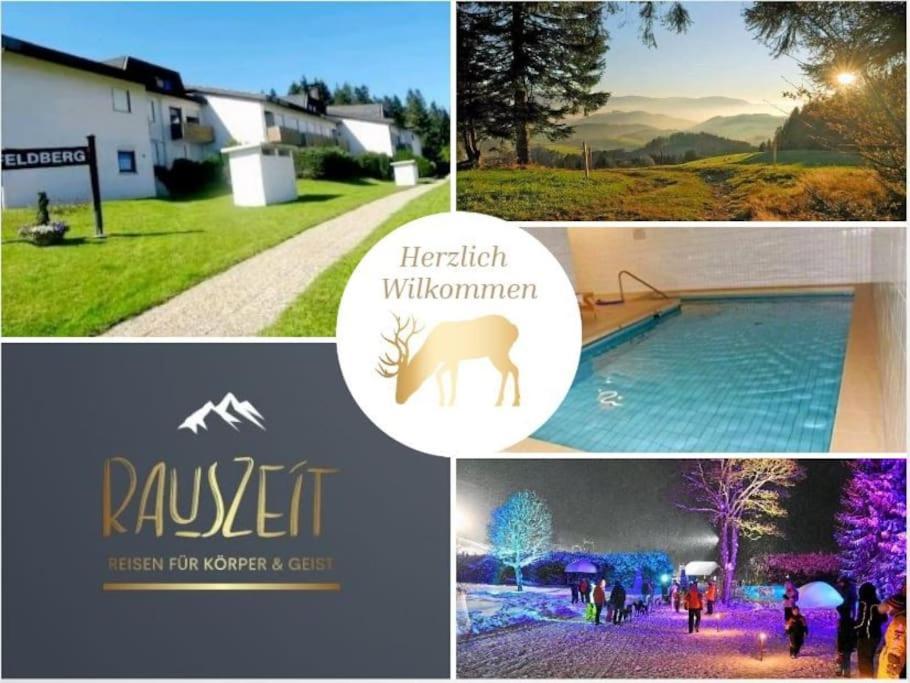 Urlaub Auf 1.000 Meter Hoehe Mit Pool Und Sauna Schönwalde Dış mekan fotoğraf