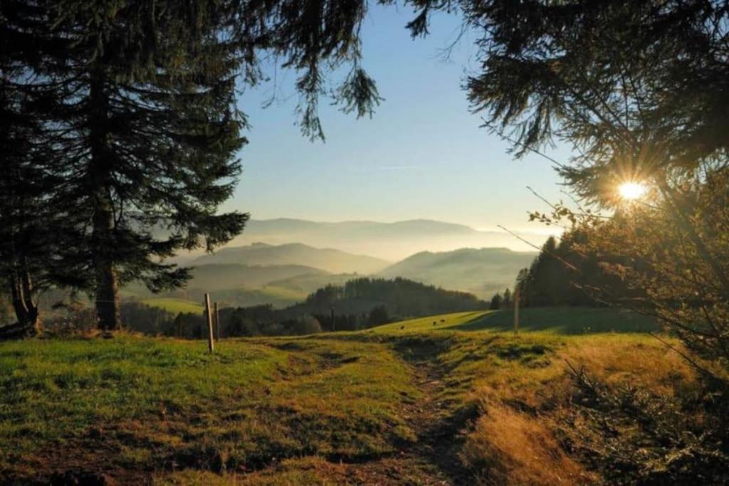 Urlaub Auf 1.000 Meter Hoehe Mit Pool Und Sauna Schönwalde Dış mekan fotoğraf