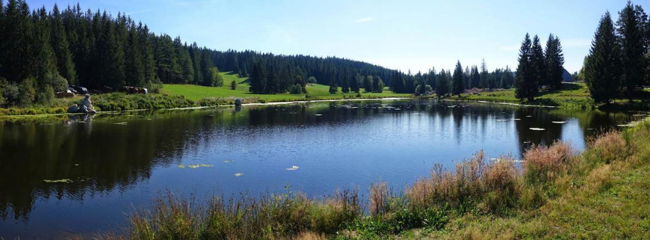 Urlaub Auf 1.000 Meter Hoehe Mit Pool Und Sauna Schönwalde Dış mekan fotoğraf