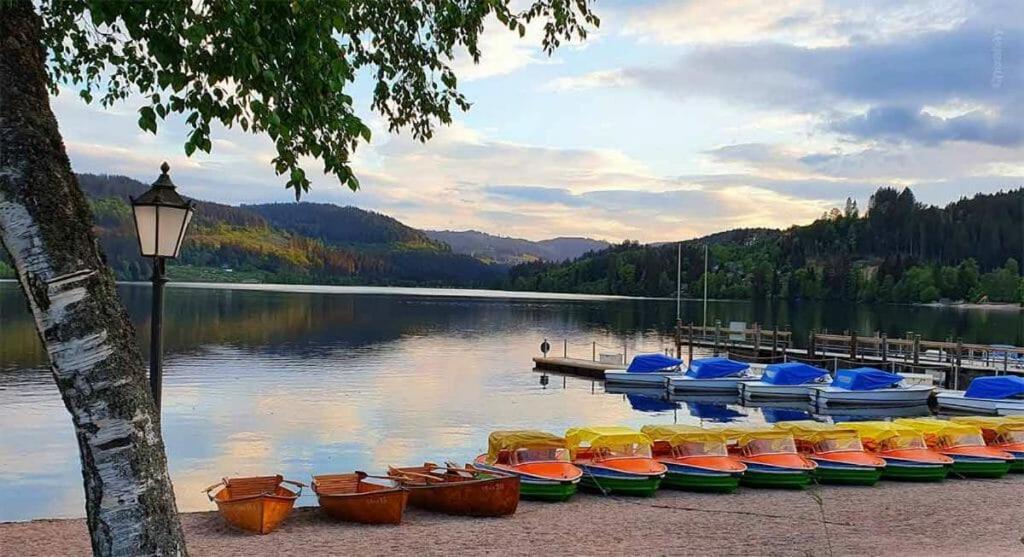 Urlaub Auf 1.000 Meter Hoehe Mit Pool Und Sauna Schönwalde Dış mekan fotoğraf
