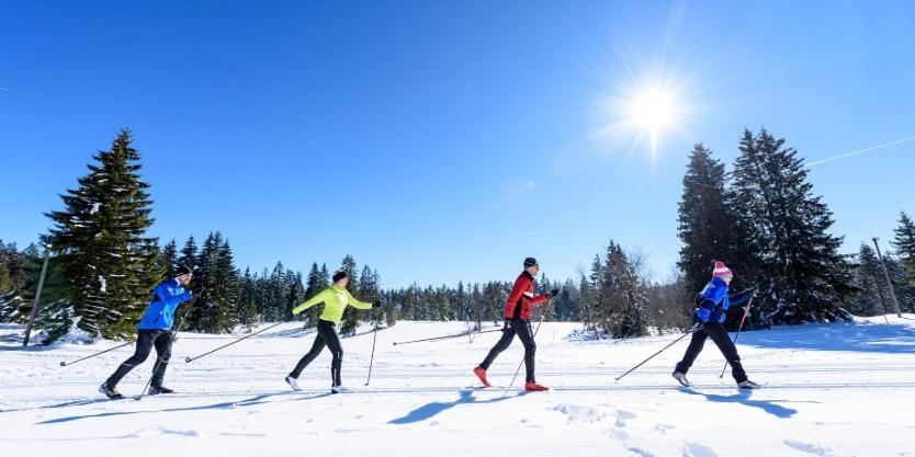 Urlaub Auf 1.000 Meter Hoehe Mit Pool Und Sauna Schönwalde Dış mekan fotoğraf