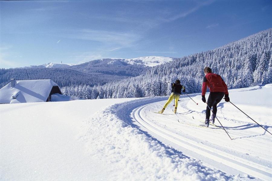 Urlaub Auf 1.000 Meter Hoehe Mit Pool Und Sauna Schönwalde Dış mekan fotoğraf