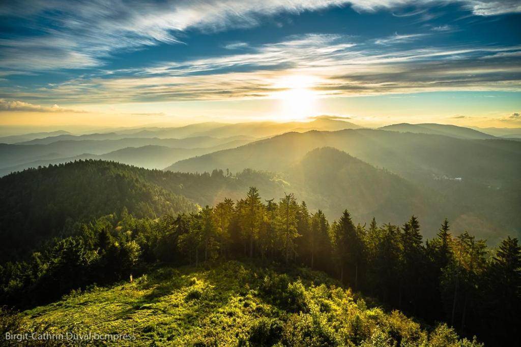 Urlaub Auf 1.000 Meter Hoehe Mit Pool Und Sauna Schönwalde Dış mekan fotoğraf