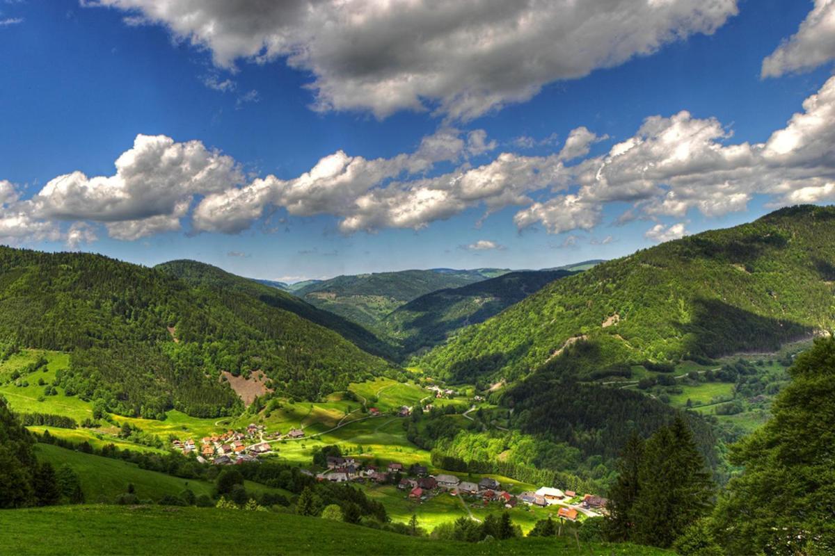 Urlaub Auf 1.000 Meter Hoehe Mit Pool Und Sauna Schönwalde Dış mekan fotoğraf